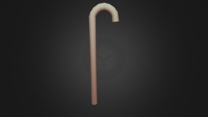 CAne 3D Model