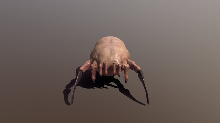 HeadCrab 3D Model
