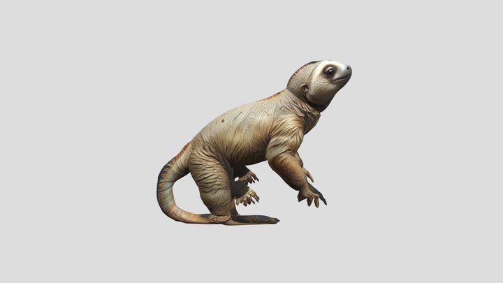 lizard 3D Model