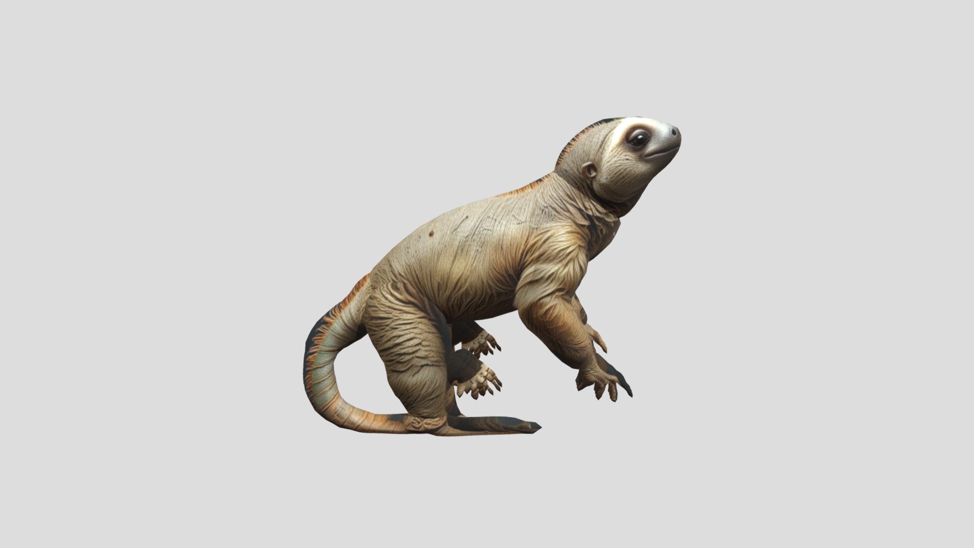lizard - Download Free 3D model by edu4art [b5839d0] - Sketchfab
