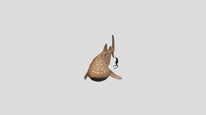 New boy and shark 3D Model