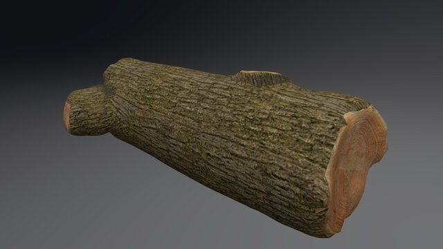 ce n'est pas une bûche de bois 3D Model