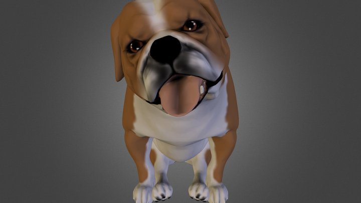 Curious Bull Dog 3D Model