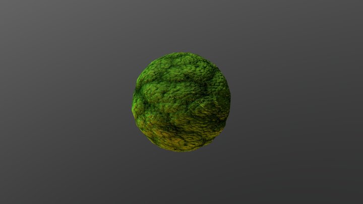 Green Moss 3D Model