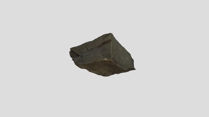 Leaf fossil 3D Model