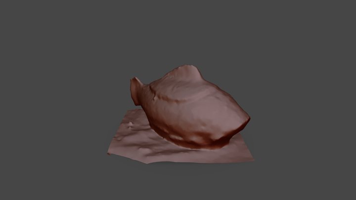 fish vase 3D Model