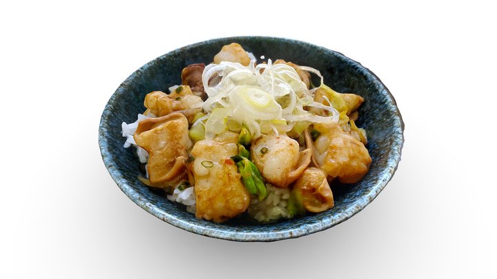 Beef Tripe Rice Bowl - Polycam 3D Model