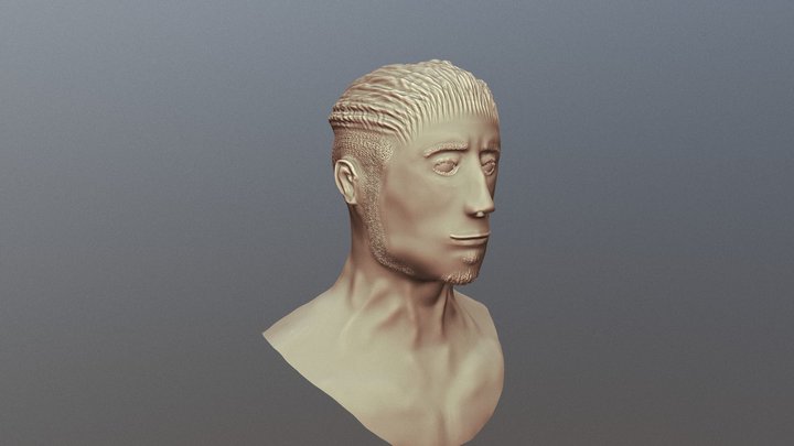 Face try 3D Model