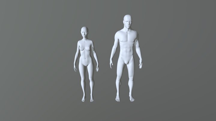 Curso 2 3D Model
