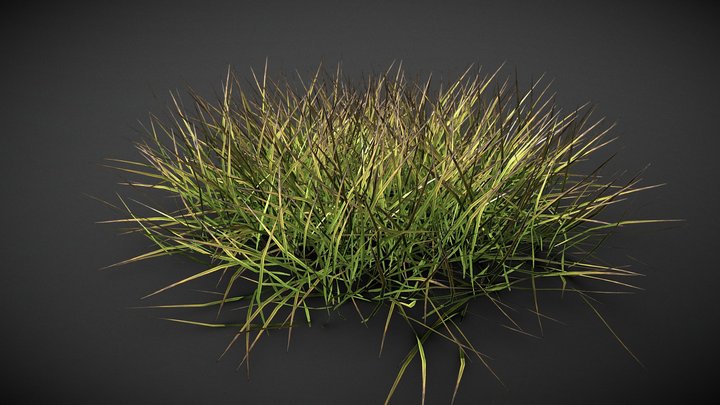 Realistics grass 06 3D Model