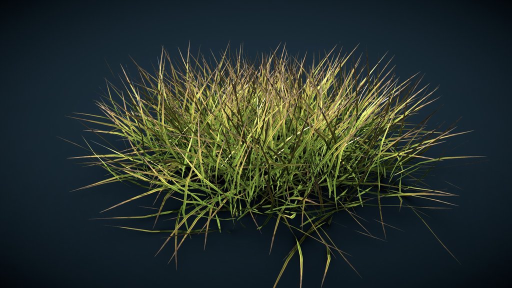 Realistics grass 06