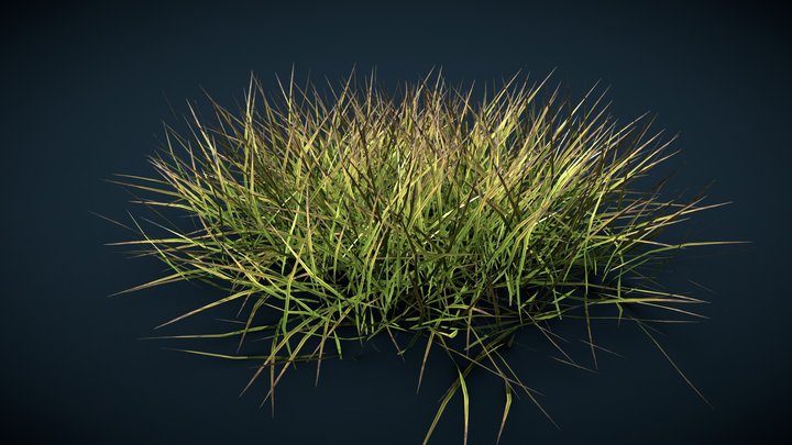 Realistics grass 06 3D Model