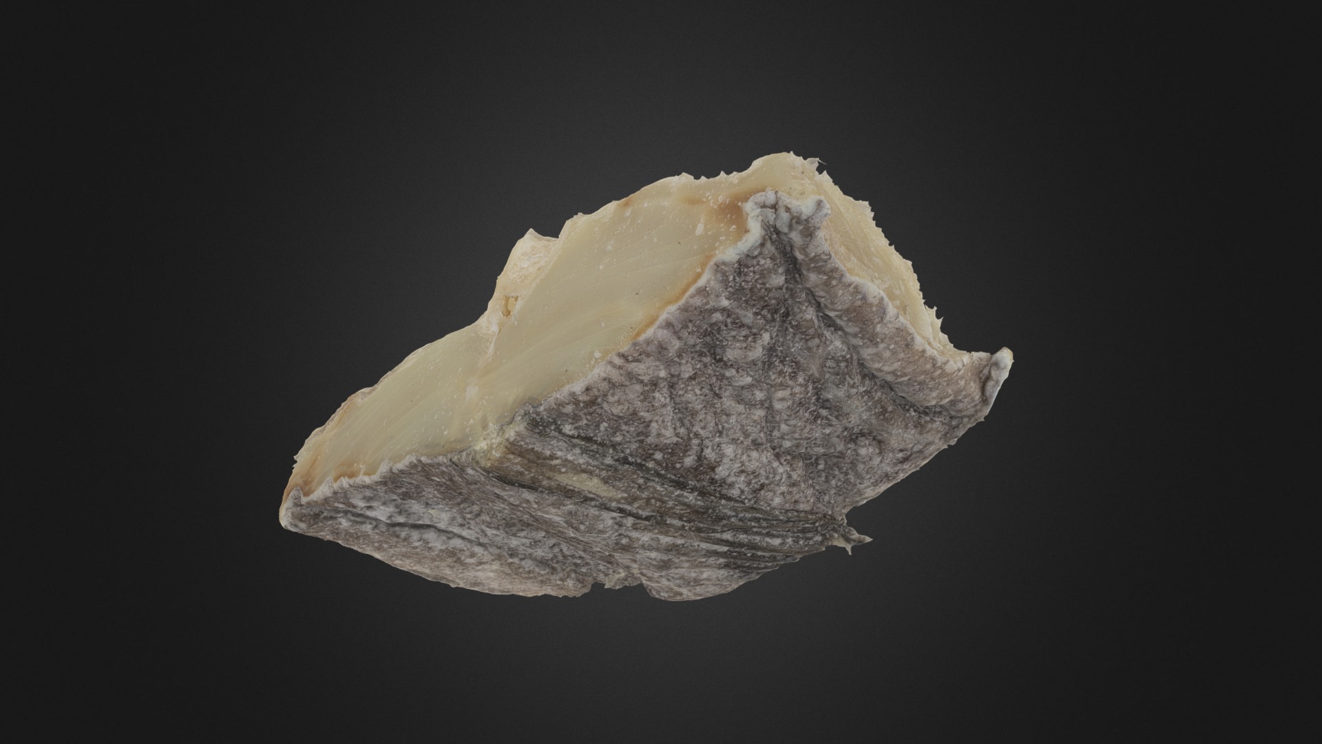3D model Codfish - This is a 3D model of the Codfish. The 3D model is about a rock with a dark background.