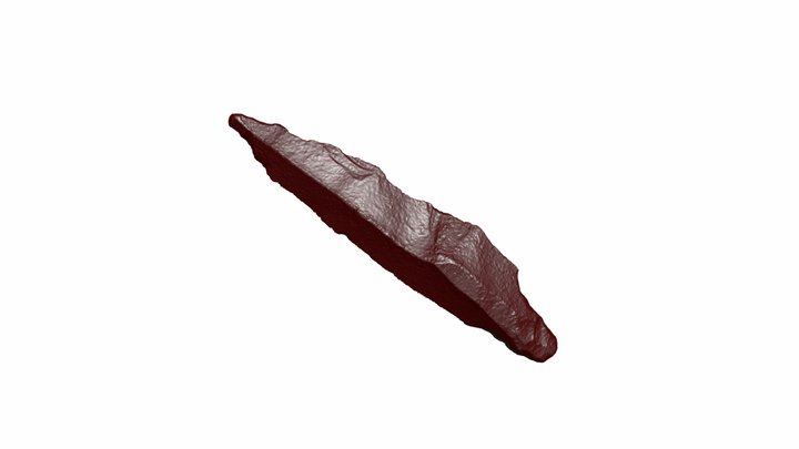 Mellanneolitisk spånpilspets med tånge (flinta) 3D Model