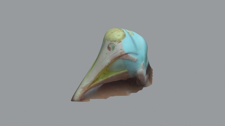 Ojo 3D Model