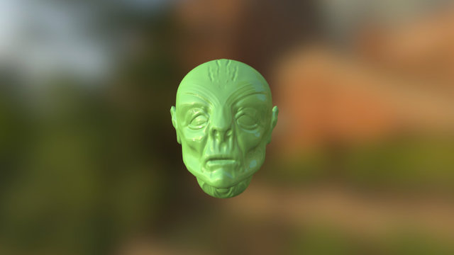 Elfo 3D Model
