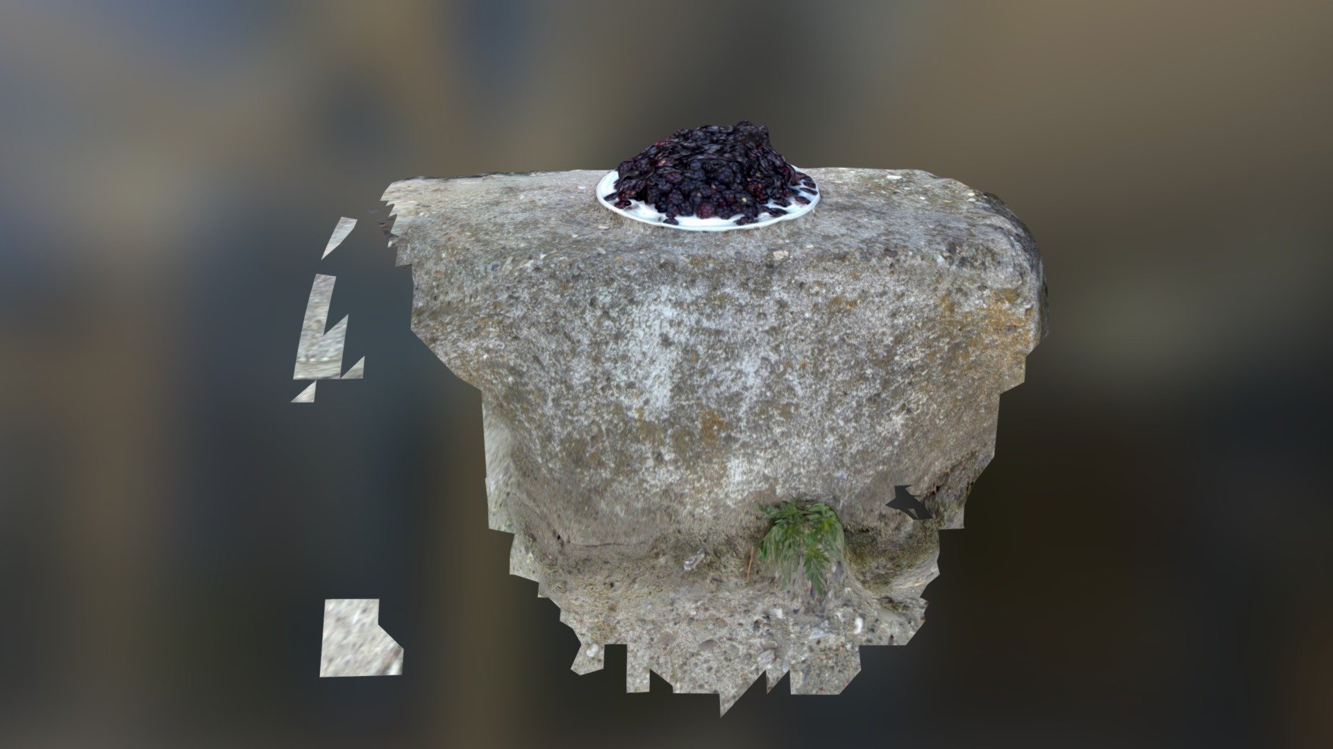 Wild Blackberry - Divlje Kupine