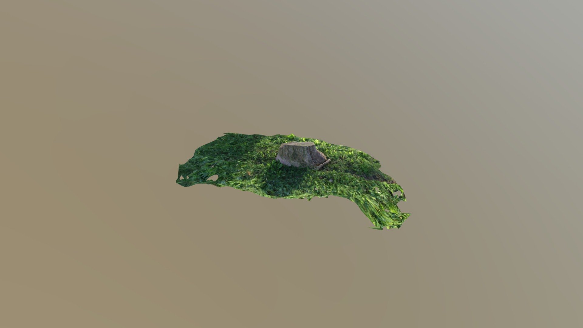 Stump