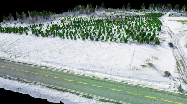 PCT_P with Ricoh 3D Model