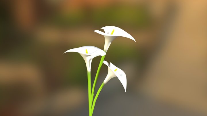 Arome 3D Model