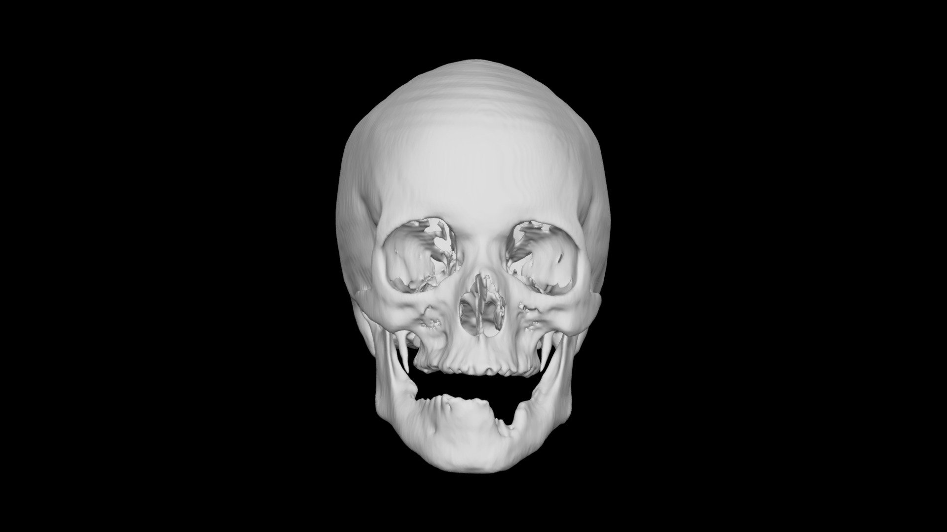 Skull Female 47yo