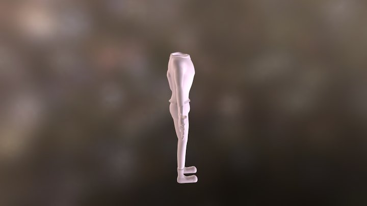 Torso 3D Model