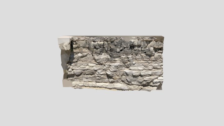 Scan 2023-06-03T16:54:01.498Z 3D Model