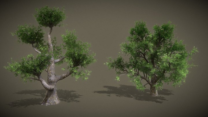 More Realistic Trees Free! 3D Model