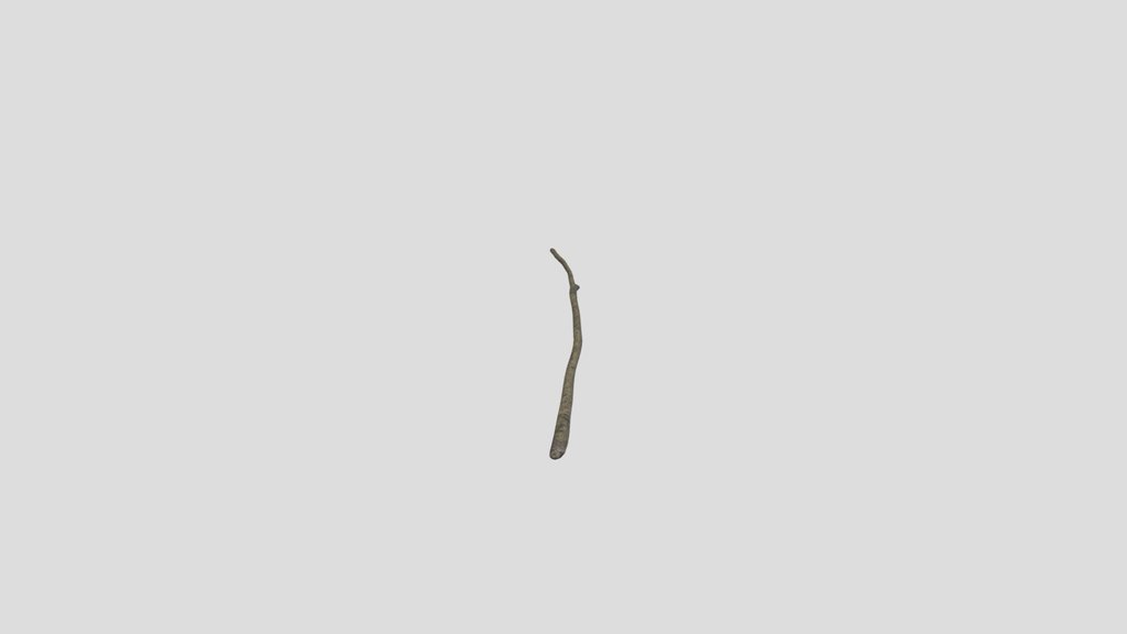 Debris And Twigs