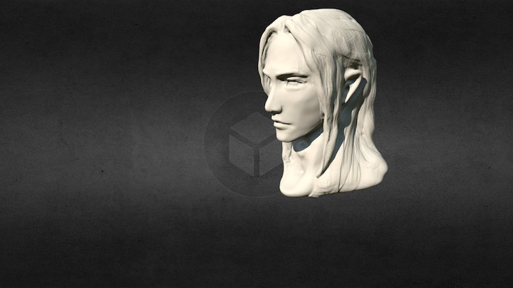 Long Hair Man 3D Model