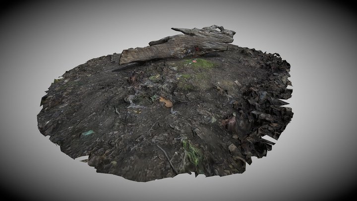 Log in the Forest - Photogrammetry 3D Model