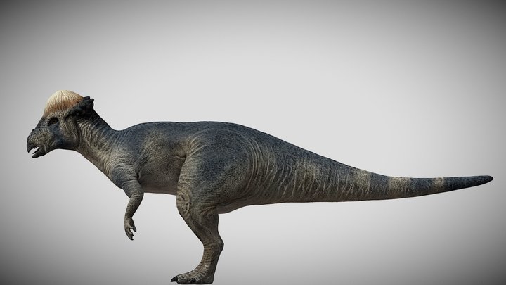 JP:OG Pachycephalosaurus – Modelo 3D gratuito STL