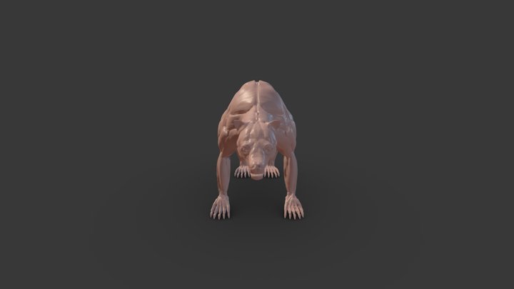 Bear Ecorche for printing 3D Model