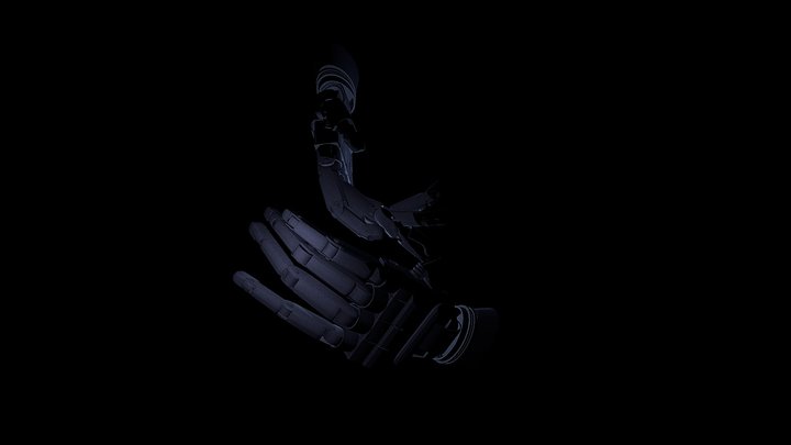 The Mechanic Hands 3D Model