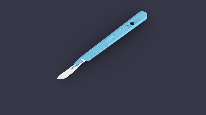 Scaple 3D Model