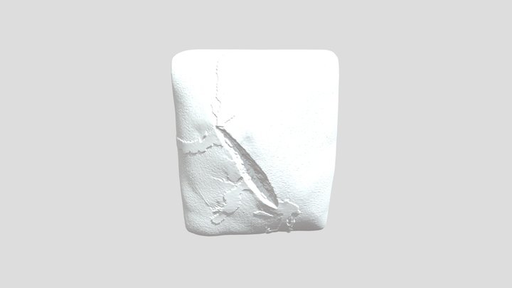 Artificial Wound Simulation 3D Model