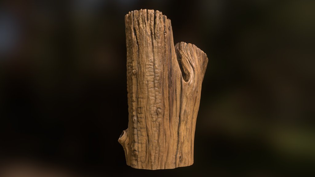 Log