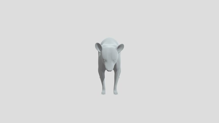 Ivory Canine 3D Model
