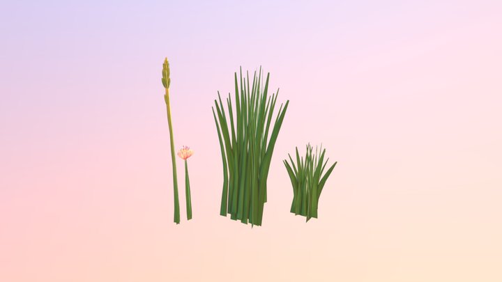 Grasses 3D Model