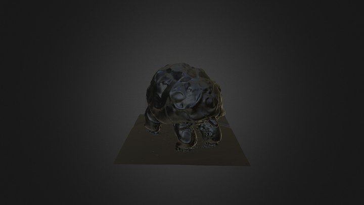 3D scanning turtle 3D Model