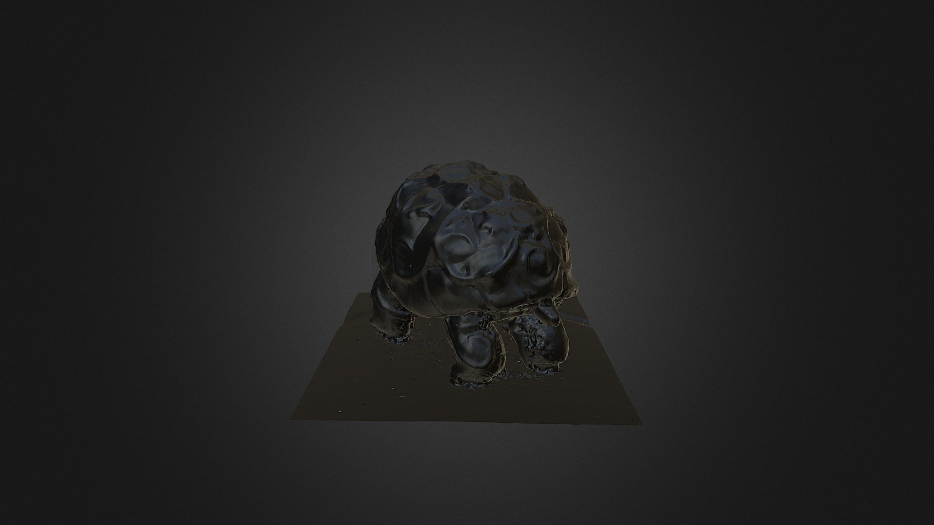 3D scanning turtle