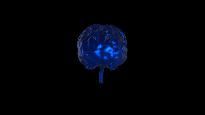 Brain Segmentation 3D Model