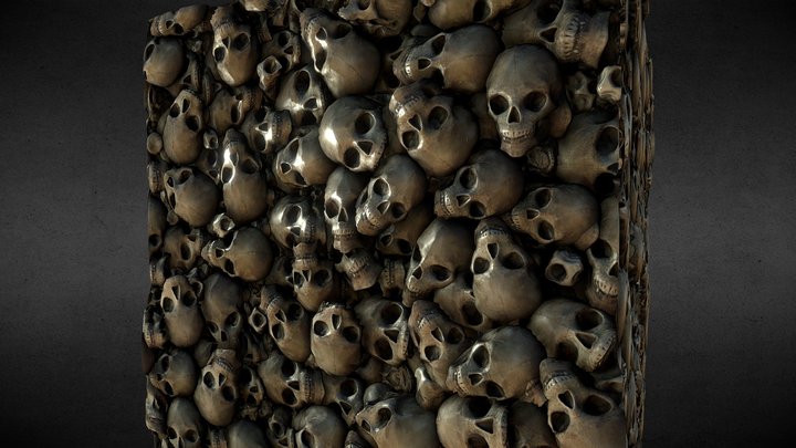 Skulls & Bones 3D Model