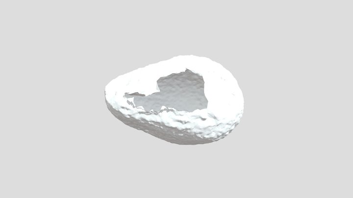 Avocat 01 3D Model