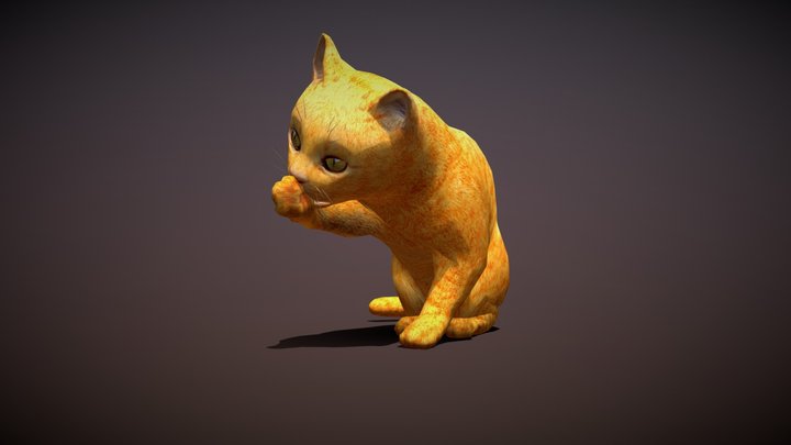 3DRT - Red cat 3D Model