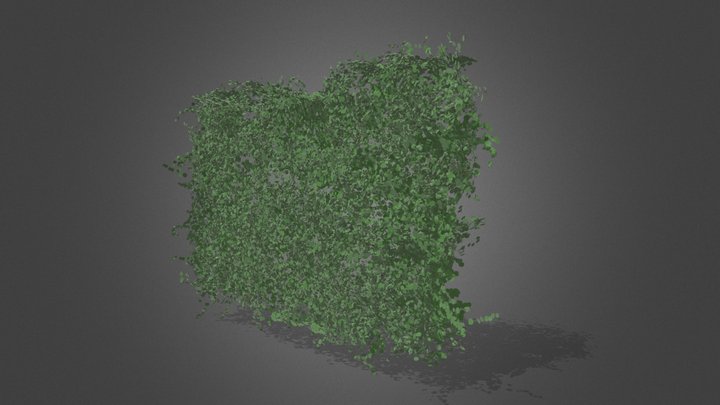 Ivy for walls 3D Model