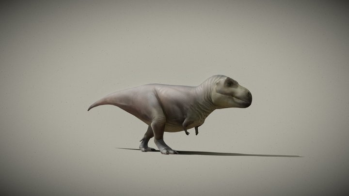 Tyranosaurus Rex 3D Model