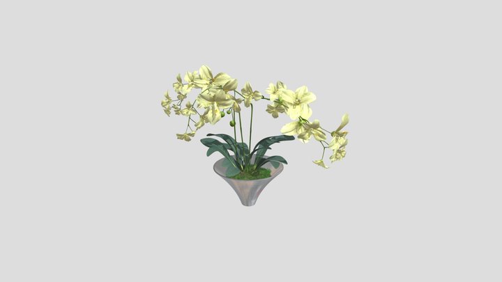 Orchid Plant In Decorative Pot – Modèle 3D gratuit STL