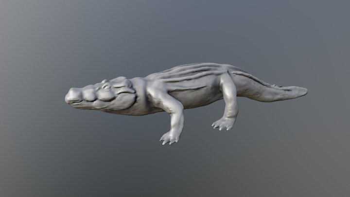 Croc 3D Scan Mesh 3D Model