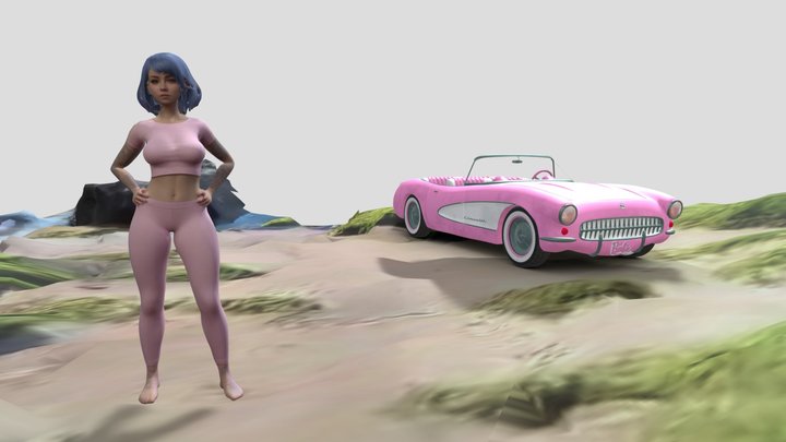 Fan club spends a day with a car on the grass. 3D Model